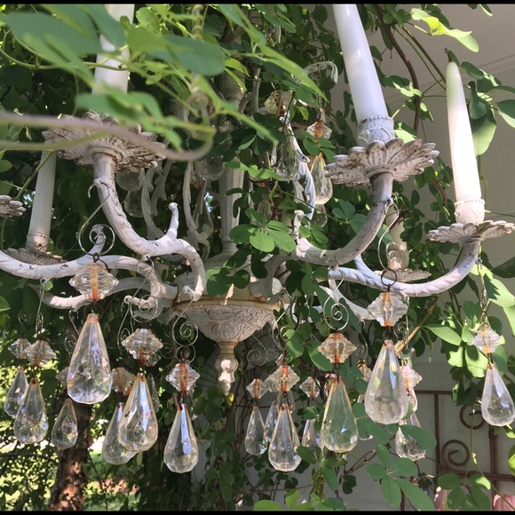 Meet your Posher, Marilyn - Picture 2 of 2